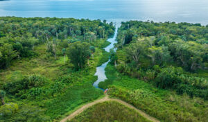 jamaica_0002_DJI_0479_Busha_Manchester