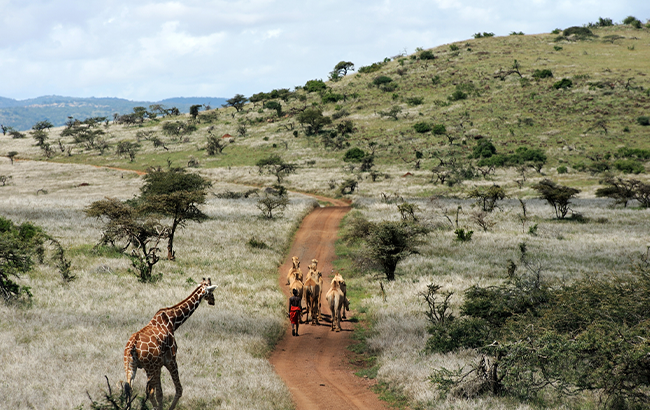 Laikipia