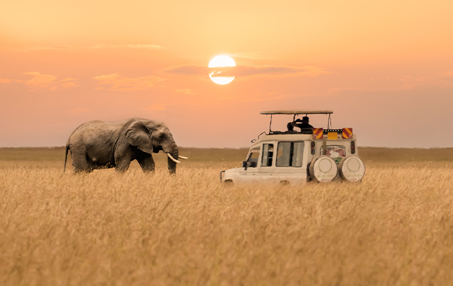 Masai Mara