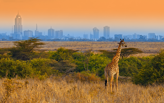 Nairobi