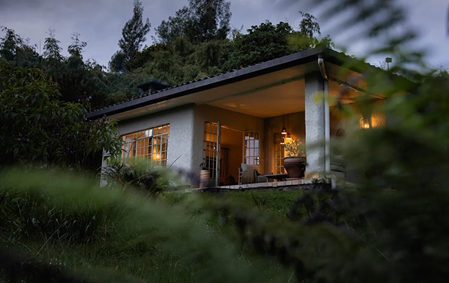 Wilderness Sabyinyo