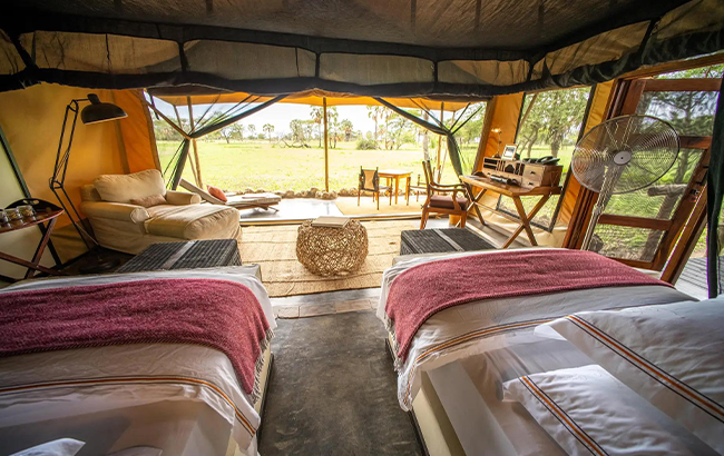 Chem Chem, Auberge Safari